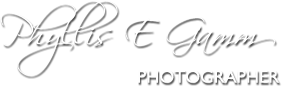 Boxify Logo